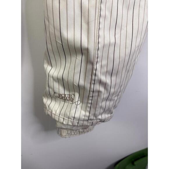 Foursquare Pants Womens Medium Fuji Pinstripe Snowboard Inseam Vents Warm - Picture 3 of 15